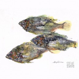 black bass gyotaku fish