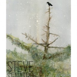 raven on tree watercolor print