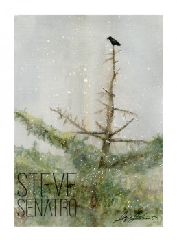 raven on tree watercolor print